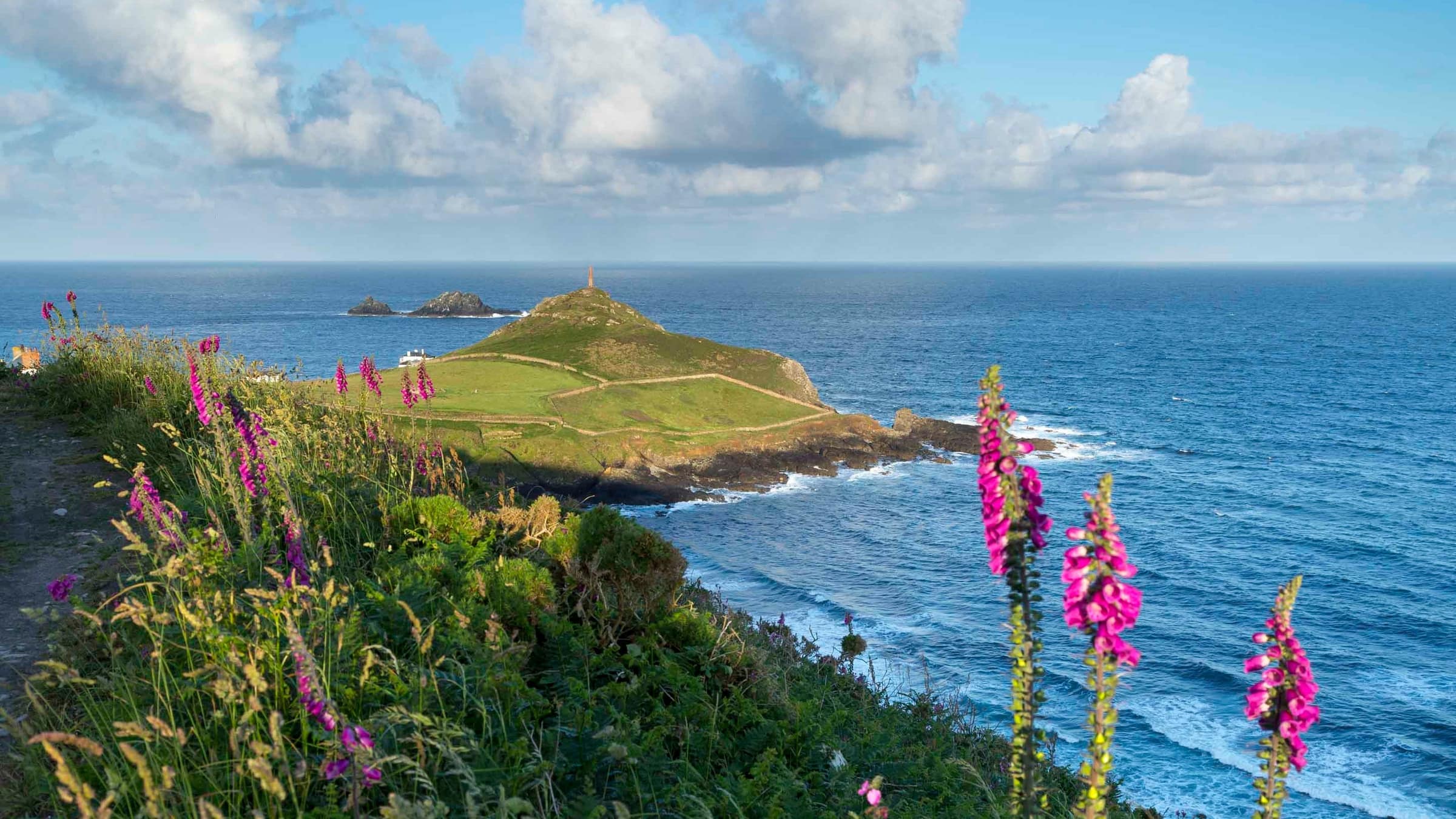 Cape Cornwall and the Tin Coast with foxgloves in the foreground